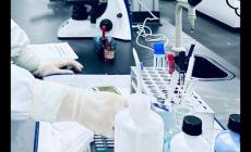 國內醫學院校大學排名及錄取分數線（醫學院校大學排名二本分數線）