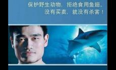 沒有買賣就沒有傷害英語翻譯是什么