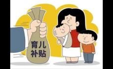 什么是育兒補(bǔ)貼制度及其主要目標(biāo)