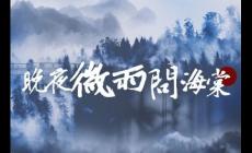 晚夜微雨問海棠歌詞完整版 晚夜微雨問海棠歌詞完整版可復制