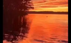 我偷了黃昏的酒全詩作者是誰 我偷了黃昏的酒全詩