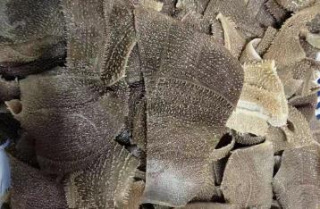 火鍋<a href=/shenghuo/9787e8366e6a36b4ae35e1e02f2e60c6.html target=_blank class=infotextkey>牛百葉</a>需要焯水嗎 火鍋<a href=/shenghuo/9787e8366e6a36b4ae35e1e02f2e60c6.html target=_blank class=infotextkey>牛百葉</a>需要焯水多久啊