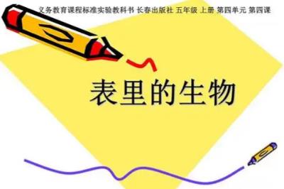 表里的生物寫于哪一年 表里的生物是幾幾年寫的