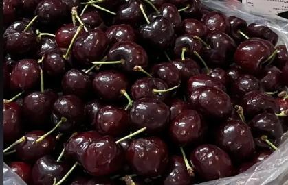 車厘子什么季節成熟 車厘子是在什么季節成熟的