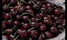 車厘子什么季節成熟 車厘子是在什么季節成熟的