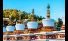 塔爾寺門票免費嗎 塔爾寺開放時間及門票價格