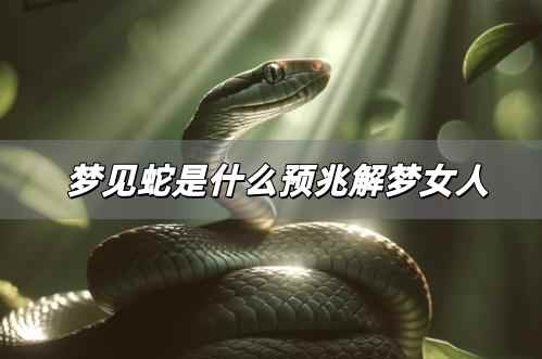 夢見蛇是什么預兆解夢女人 夢見蛇是什么預兆解夢女生