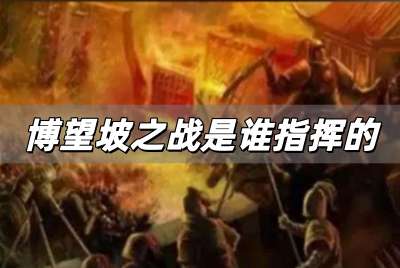 博望坡之戰是誰指揮的？是諸葛亮指揮的嗎？