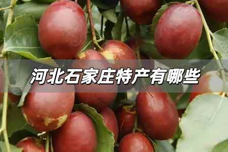 河北石家莊特產有哪些土特產，石家莊的特產有哪些土特產？