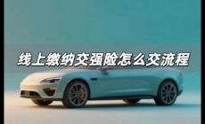 線上繳納交強(qiáng)險(xiǎn)怎么交 線上繳納交強(qiáng)險(xiǎn)流程是什么