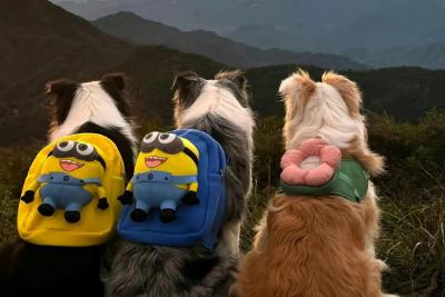 網(wǎng)絡(luò)圖片