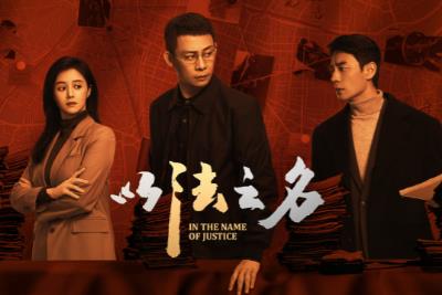 以法之名電視劇免費觀看全集完整版劇情簡介