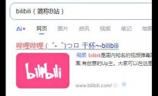 bilibili官網(wǎng)網(wǎng)頁(yè)入口是什么 bilibili官網(wǎng)網(wǎng)頁(yè)入口介紹