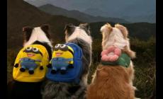 讓感情迅速升溫的36個小問題 讓感情迅速升溫的36個小問題附答案