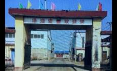 河北任丘宏金公棚200公里公告 任丘宏金公棚最新公告消息