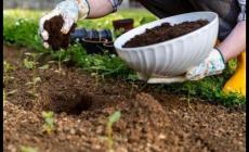 如何改善發硬的土壤問題_如何改善發硬的土壤問題呢