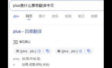 plus是什么意思翻譯中文_plus翻譯中文意思