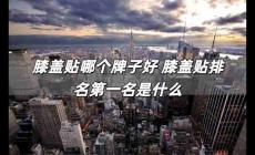 膝蓋貼哪個牌子好